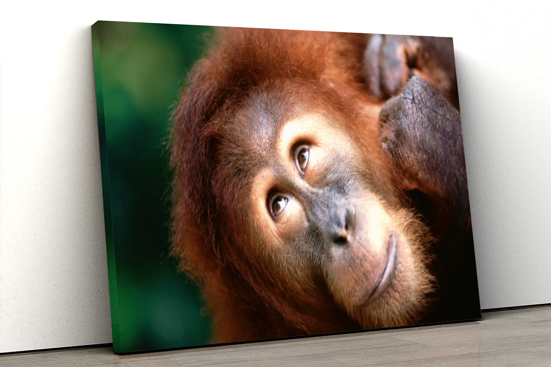 Orangutan%20Tasarımlı%20Dekor%20Kanvas%20Tablo